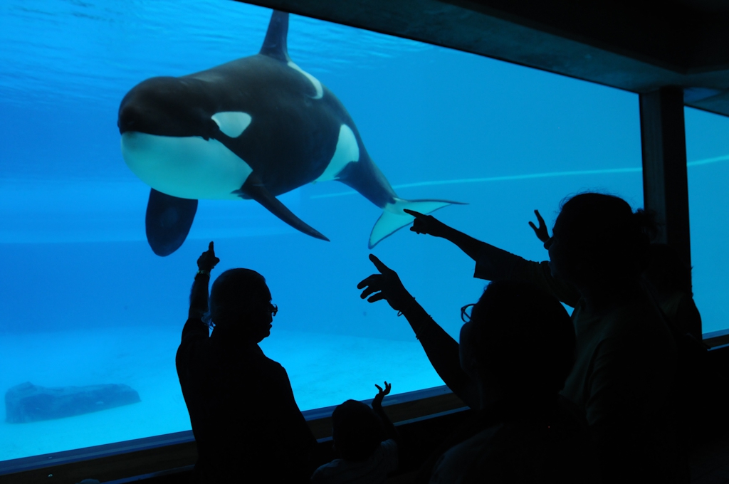 Will Niagara Falls Change Marineland Parkway to “Kiska Boulevard”?