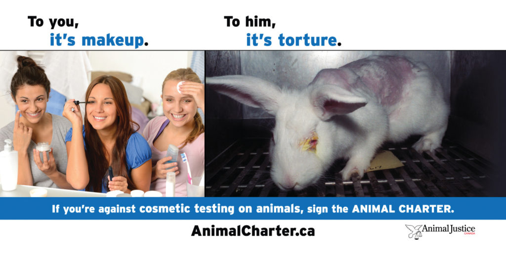Animal Justice Canada Launches Largest Ever Animal Protection Billboard Campaign Animal Justice