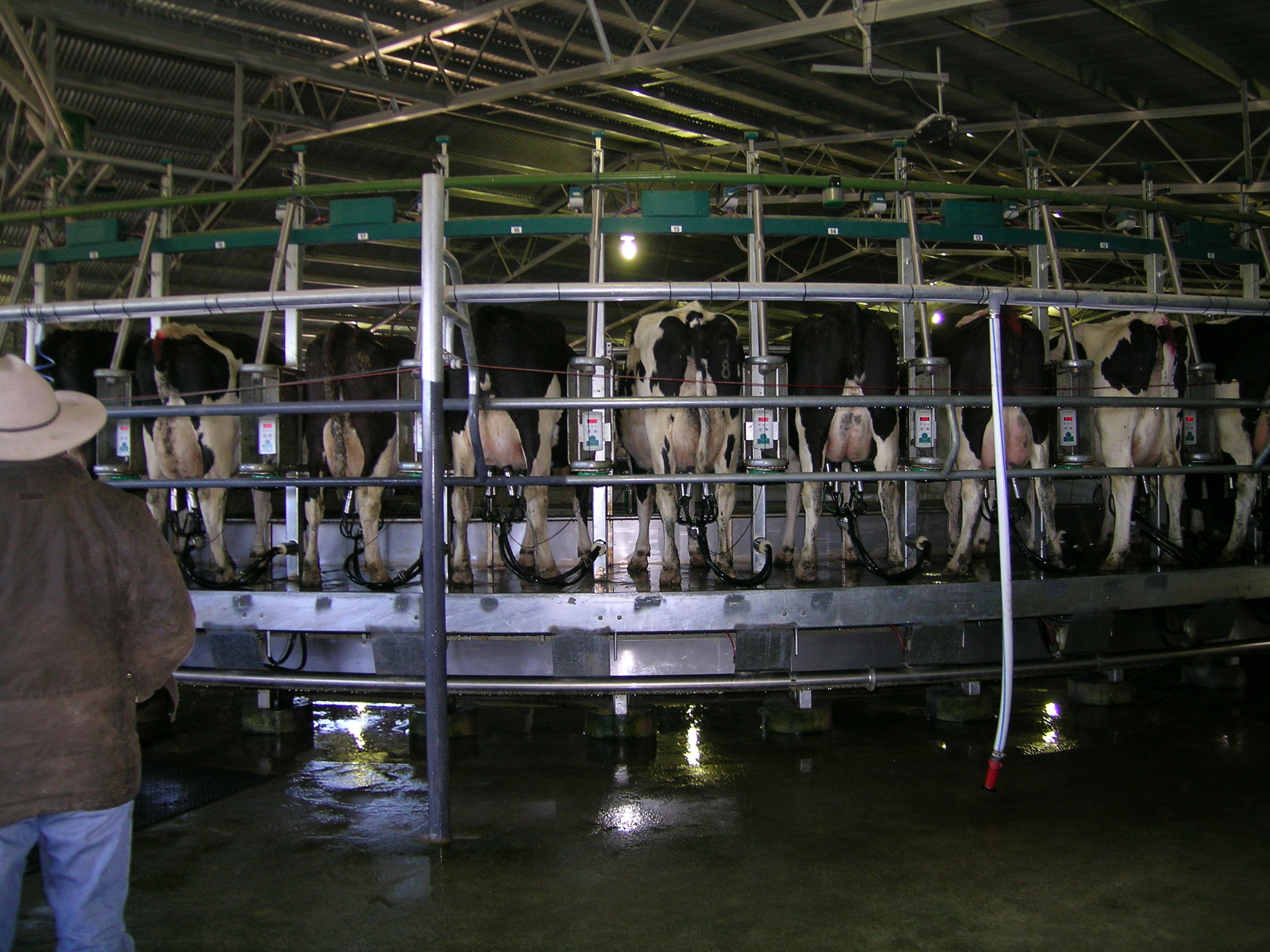 Federal Government Gives More Money to Dairy Industry