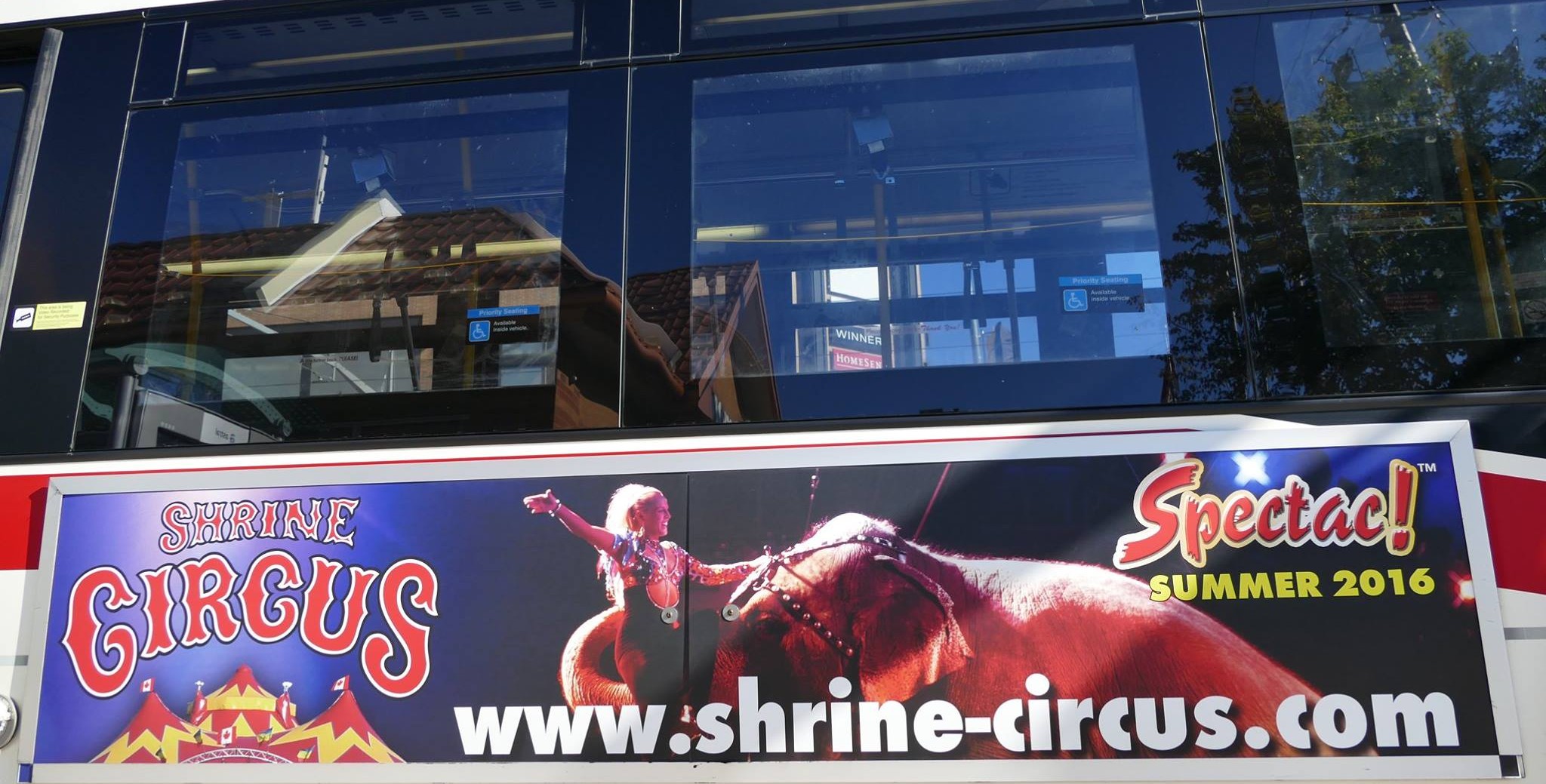 TTC Takes Down Misleading Shrine Circus Elephant Ads