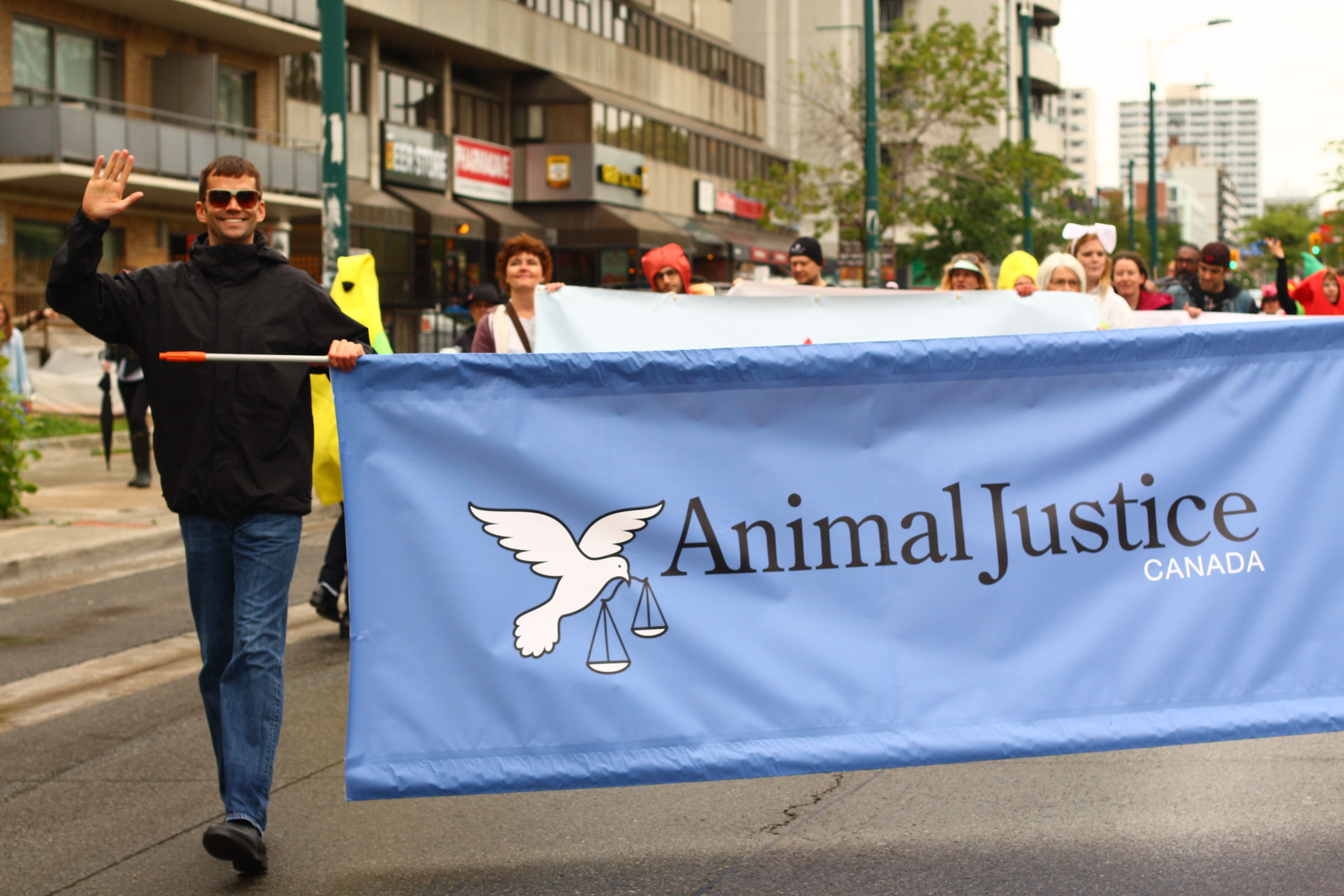 Animal Justice Join Our Team Wanted Communications And Development Manager