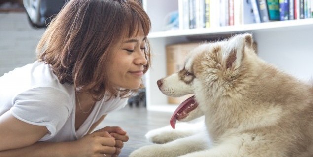 Renting with Pets: A Guide to Ontario Rental Law