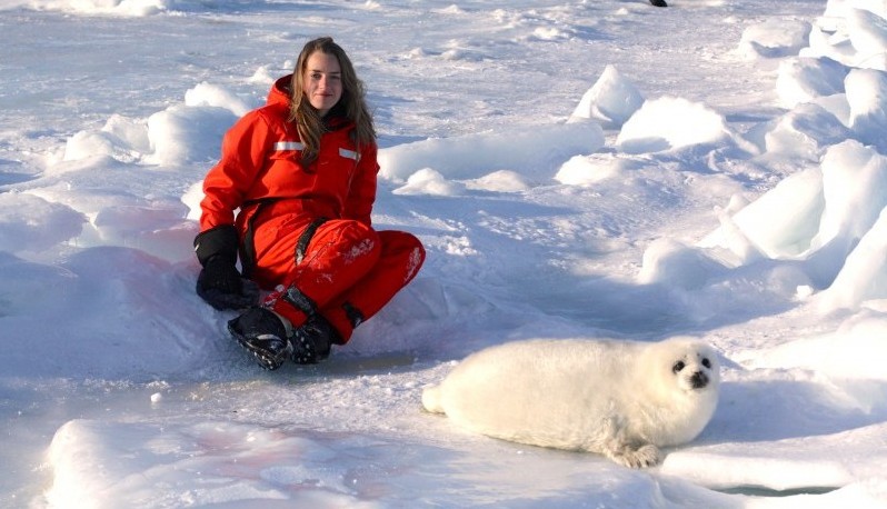 My Trip to the Ice: Visiting Baby Harp Seals with Sea Shepherd