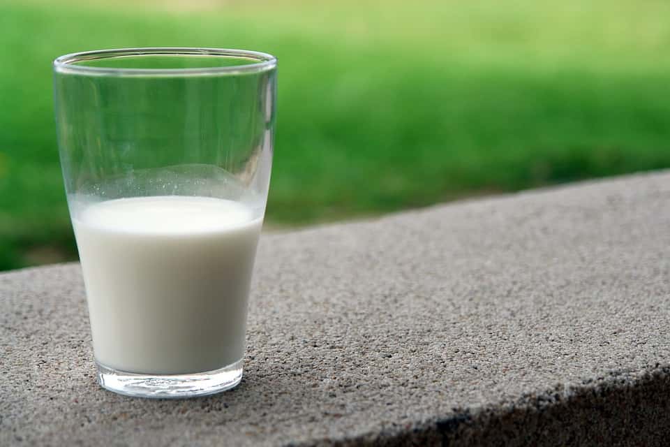 US Regulator Agrees: Soy Milk is a Milk
