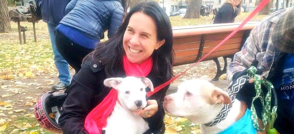 Montreal Just Elected an Animal-Friendly Mayor
