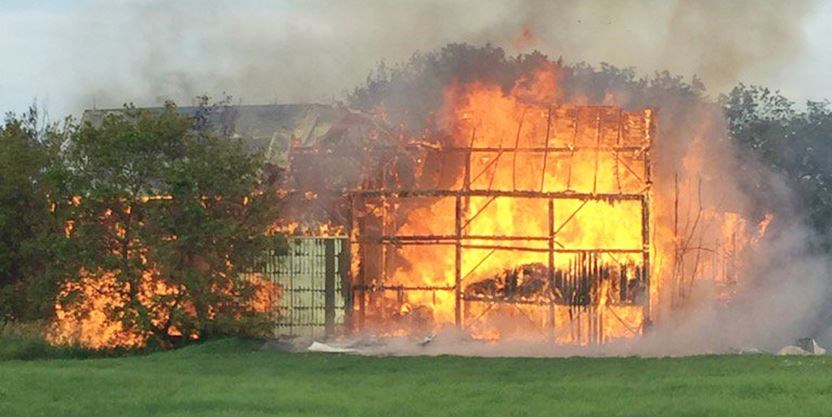 Here’s Why Animals Keep Burning to Death in Canadian Barn Fires