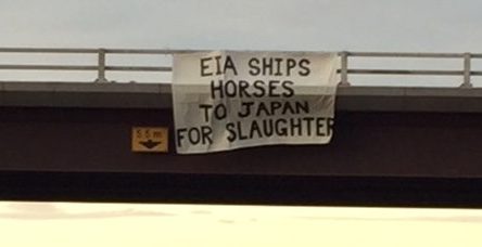 Prosecutors Drop Charges Against Edmonton Anti-Horse Slaughter Advocates