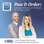 Animal Justice