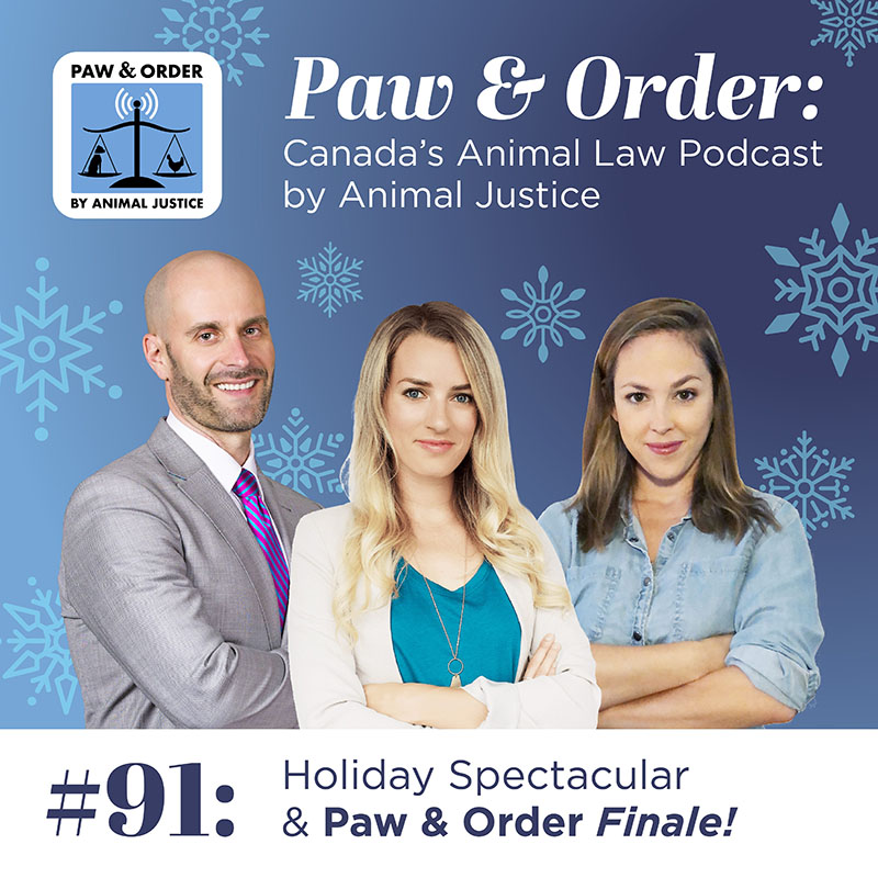 Paw & Order: Canada's Animal Law Podcast by Animal Justice Paw & Order: Canada's Animal Law Podcast by Animal Justice