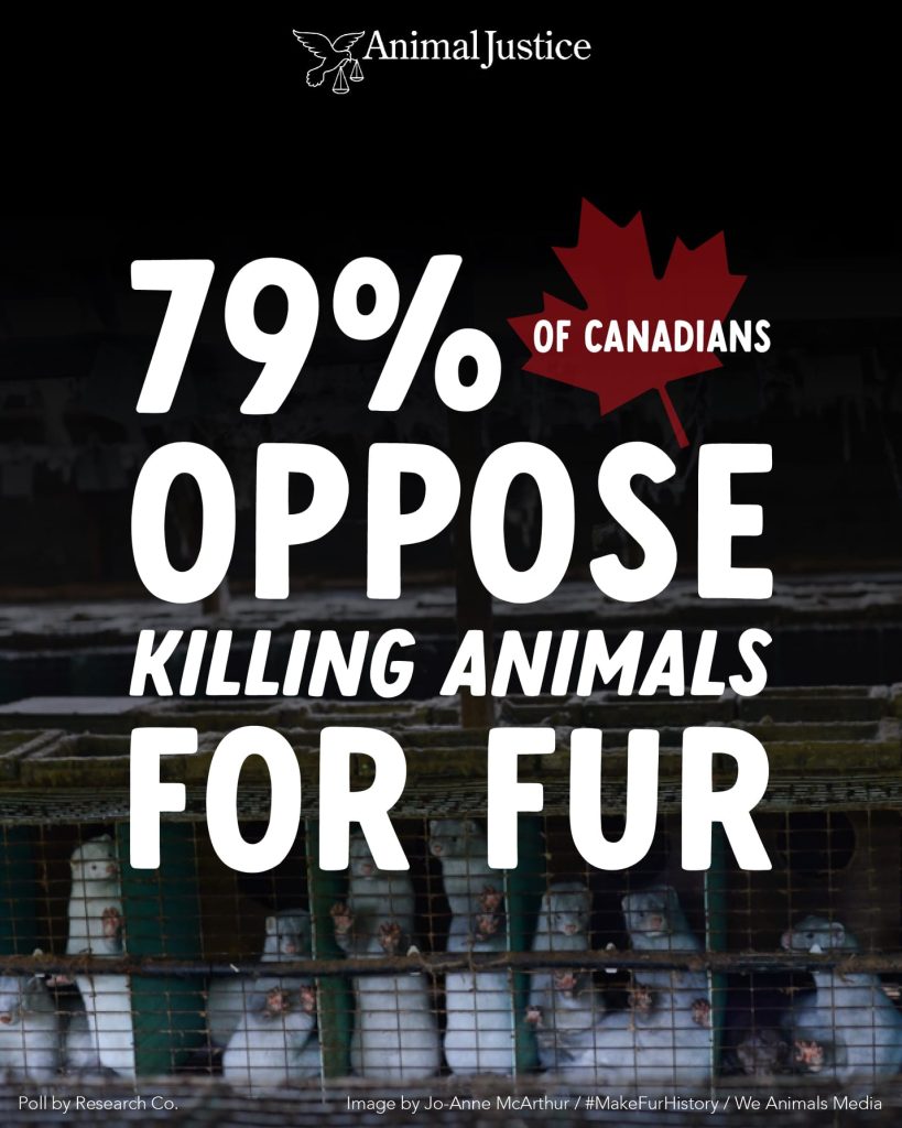 Image shows mink on fur farm with text "79% of Canadians oppose killing animals for fur"