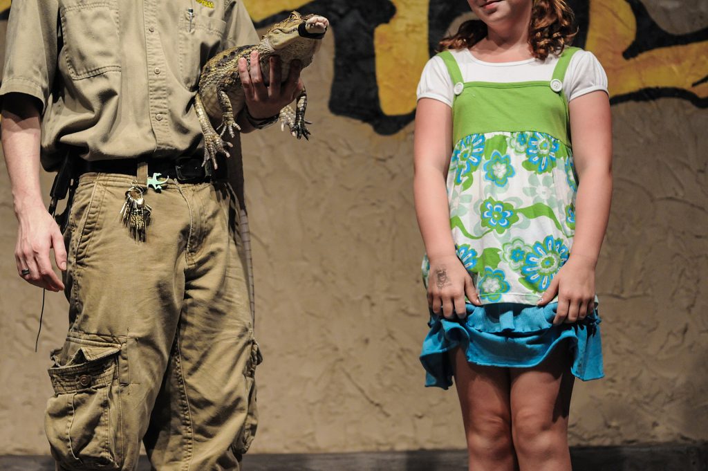 Image shows Animal handler holding crocodile with taped closed mouth next to onlooking girl.