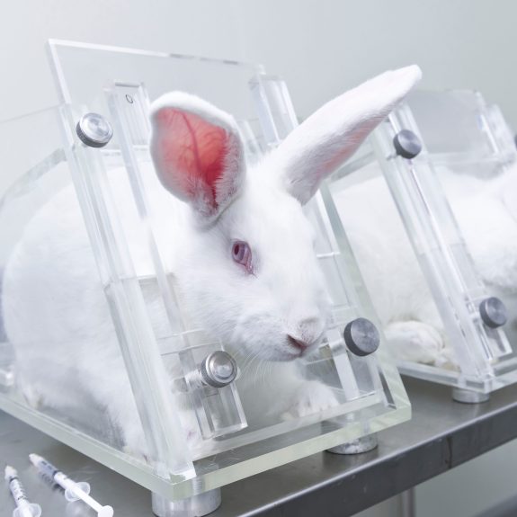 Tell Canada to Move Away from Toxicity Tests on Animals