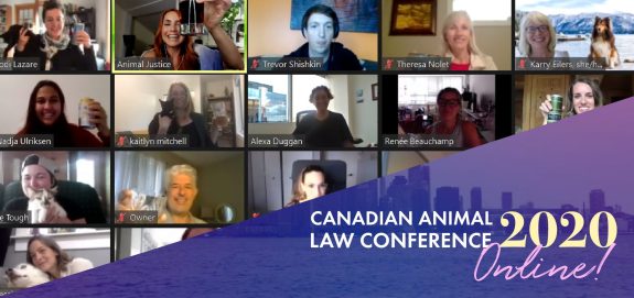 2nd Annual Canadian Animal Law Conference Takes Different but Impactful Format: A Review by Journalist Jessica Scott-Reid