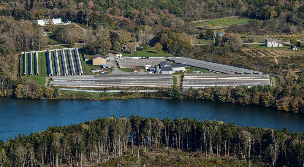 Aerial view of government-subsidized fur farms in Nova Scotia.