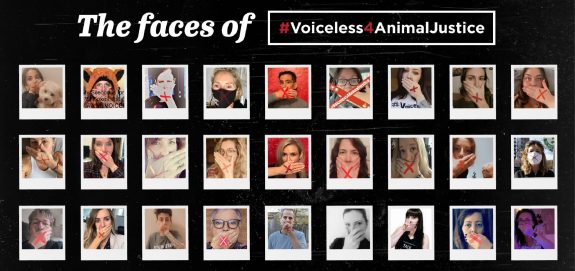 #Voiceless4AnimalJustice 2020 Raises $36K for Animals