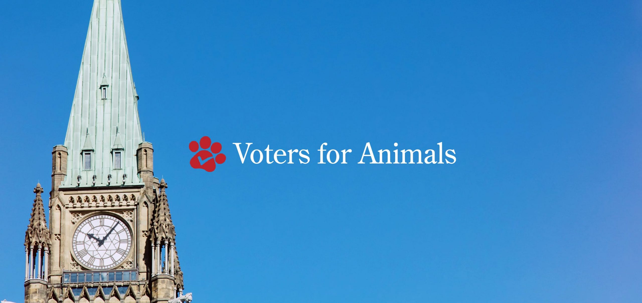 Use Your Vote for Animals This Federal Election! - Animal Justice