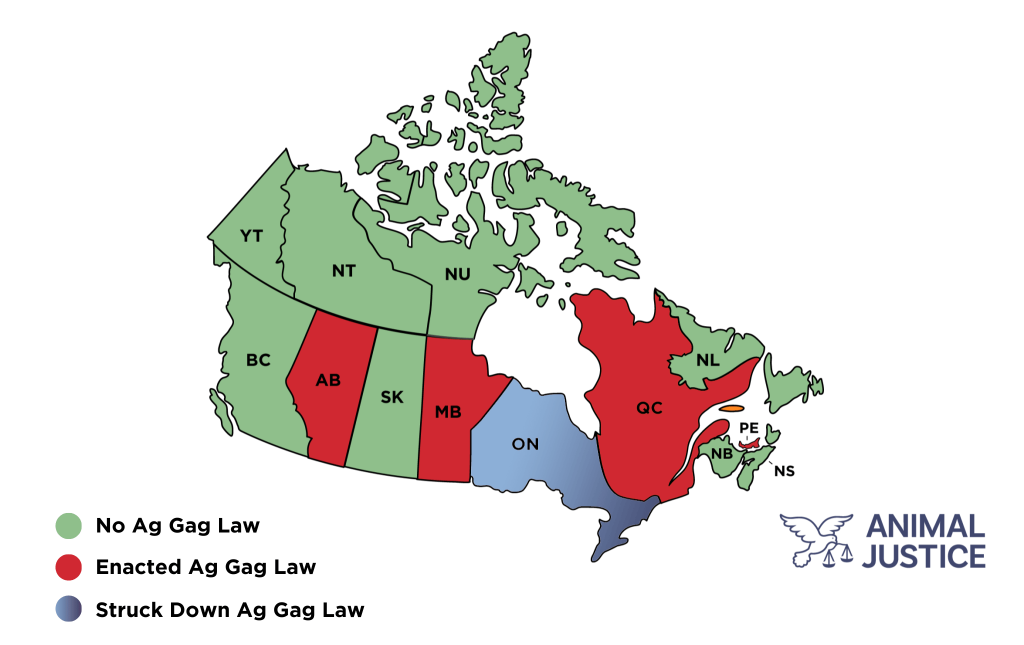 Map shows what provinces have ag gag laws in Canada.