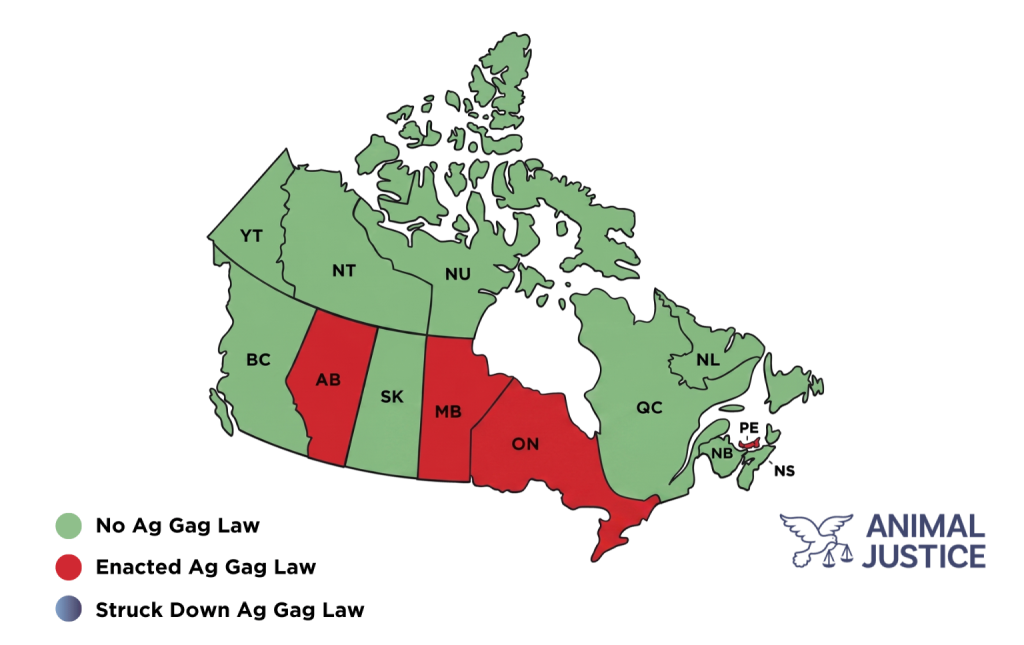 Map of Canada showing what provinces have ag gag laws