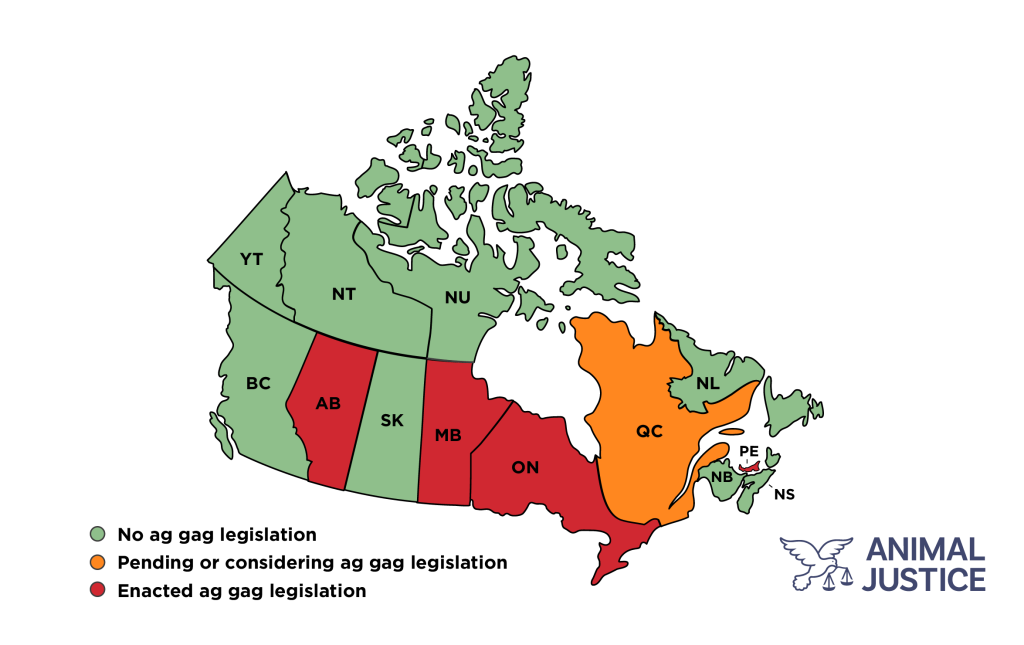 Map show provinces with ag gag laws in Canada
