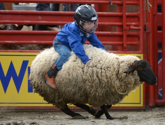 What is “Mutton Bustin’”?