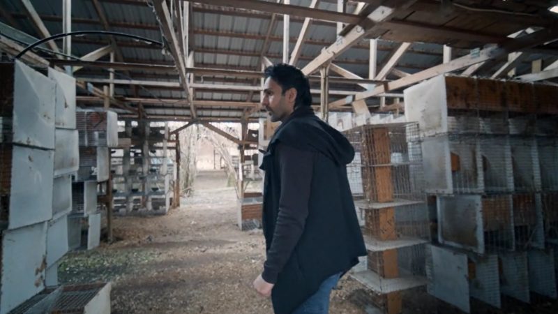 Indie Documentary “Real Fur” Reveals True Cost of Fur Fashion - Animal ...