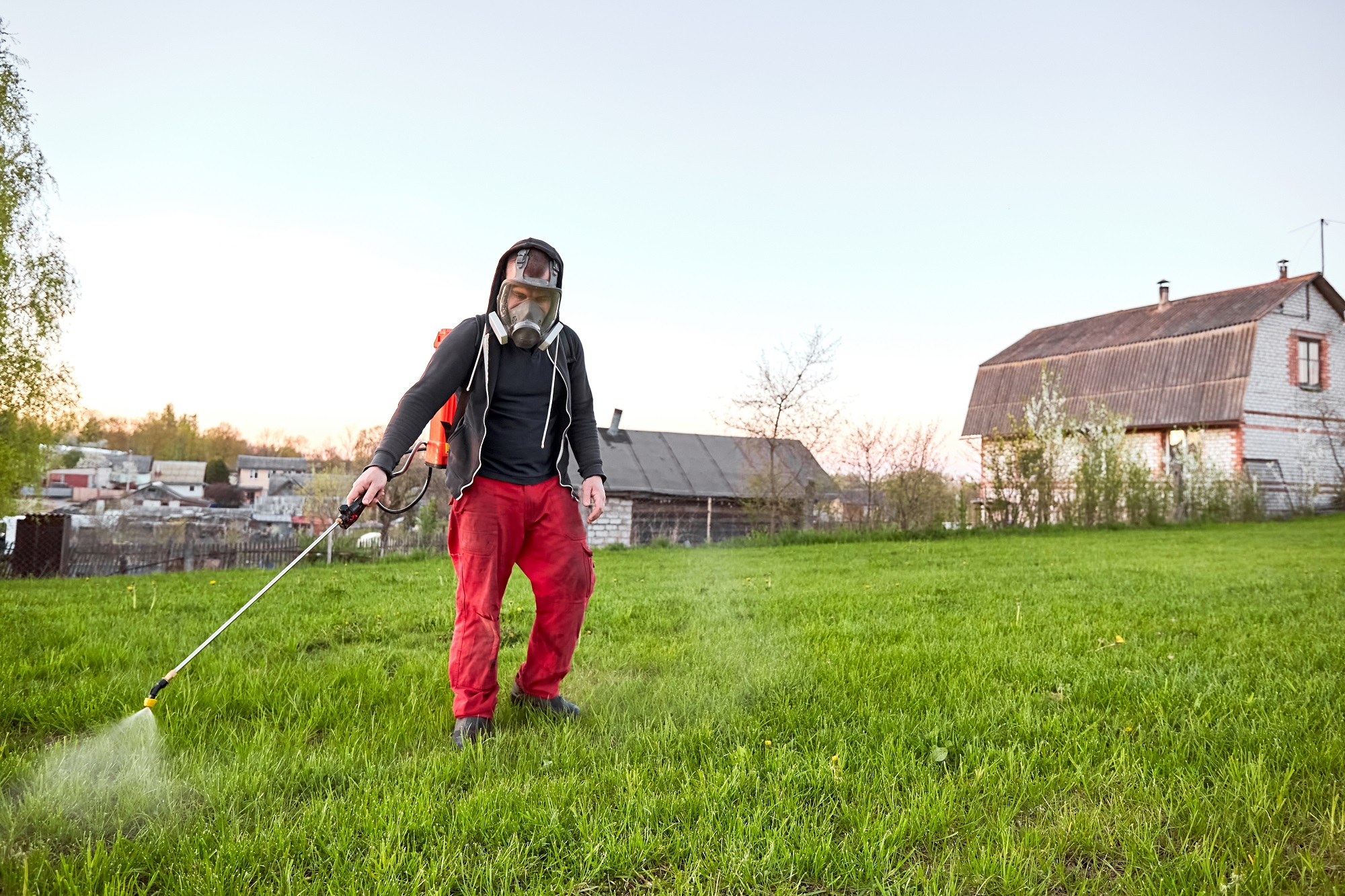 Image shows pesticide application