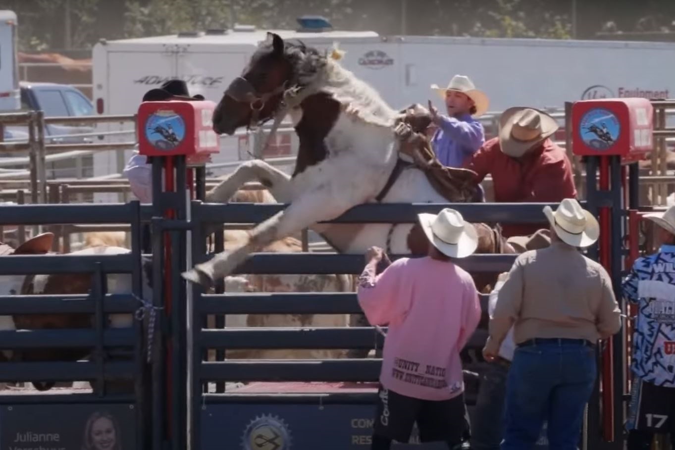 Image shows horse bucking at rodeo