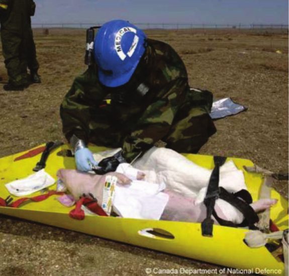Pigs Shot, Stabbed & Poisoned with Chemical Agents by Canadian Military