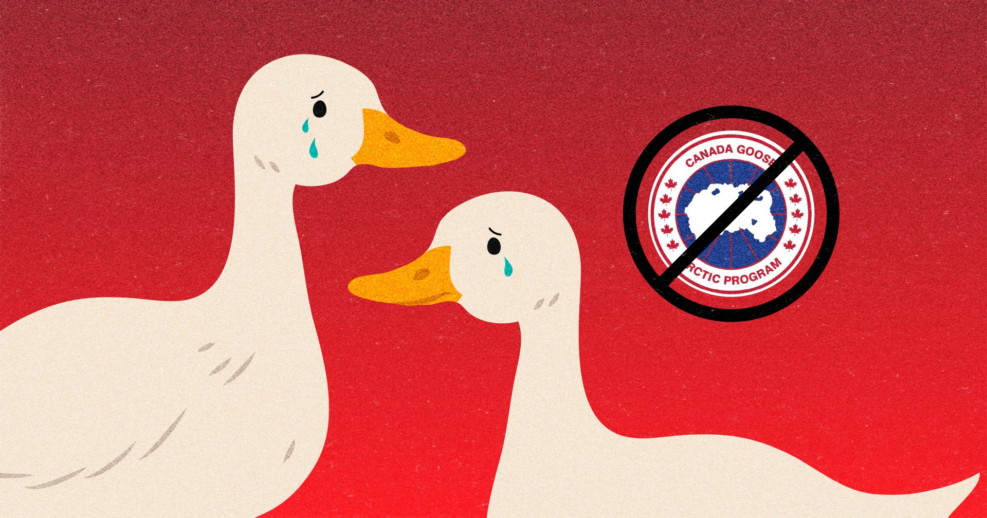 Ducks & Geese Suffer for Canada Goose Winter Jackets Animal Justice