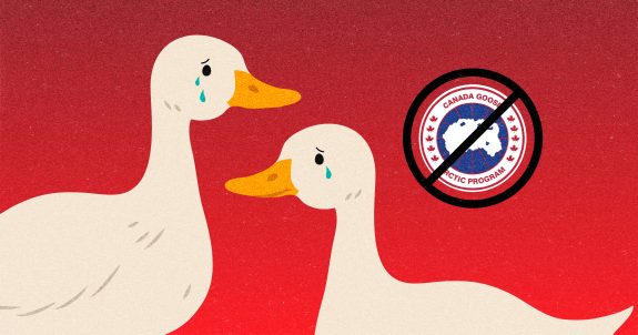 Ducks & Geese Suffer for Canada Goose Winter Jackets