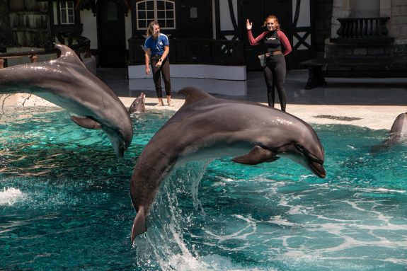 Beluga & Dolphin Die at Marineland