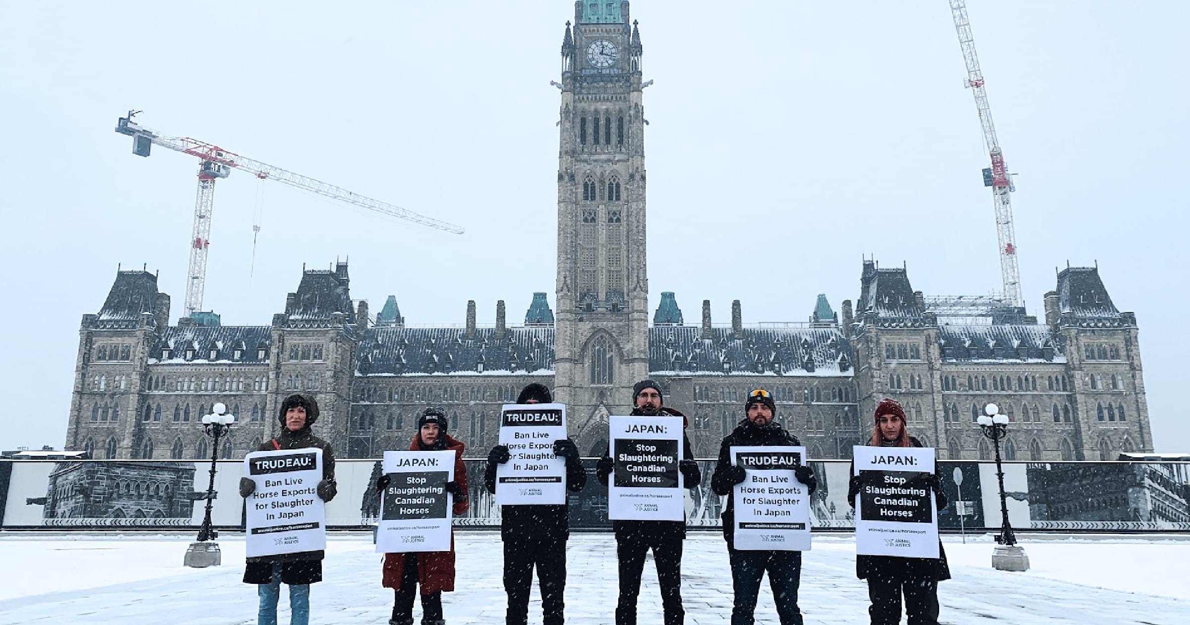 Activists Remind Prime Minister It’s Time to Ban the Cruel Export of