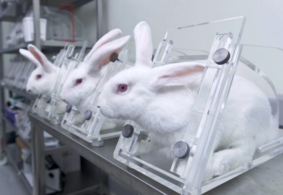 Ban Cosmetic Animal Testing in Canada
