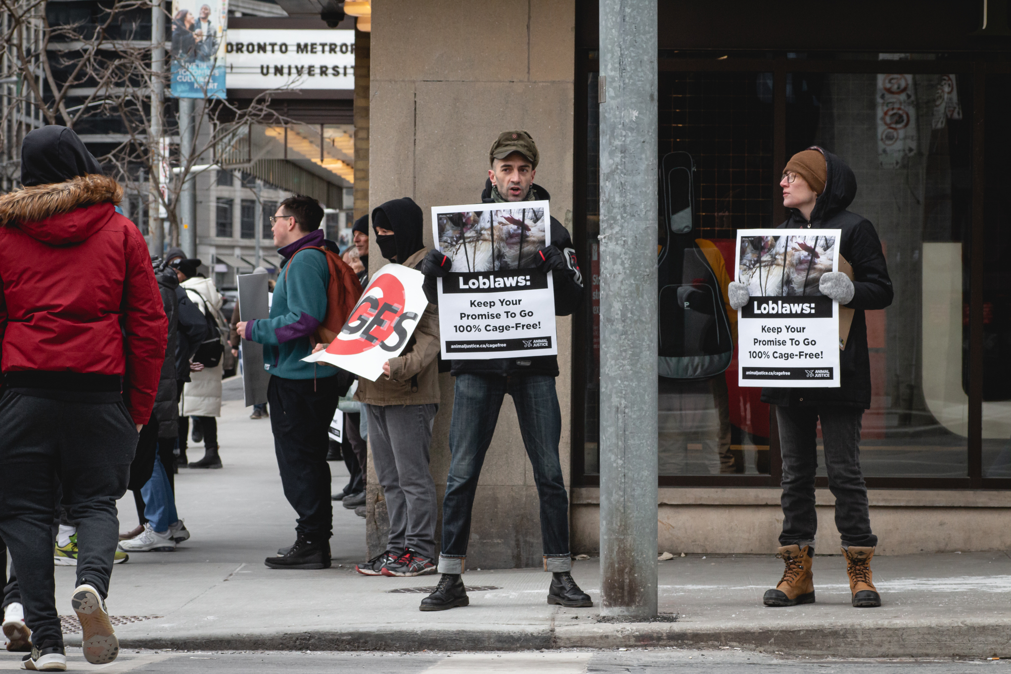 Thousands Call on Loblaws to Keep Animal Welfare Commitment - Animal ...