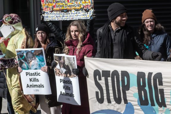 Rally Against Big Plastic: Animal Justice in Court to Protect Single-Use Plastic Ban