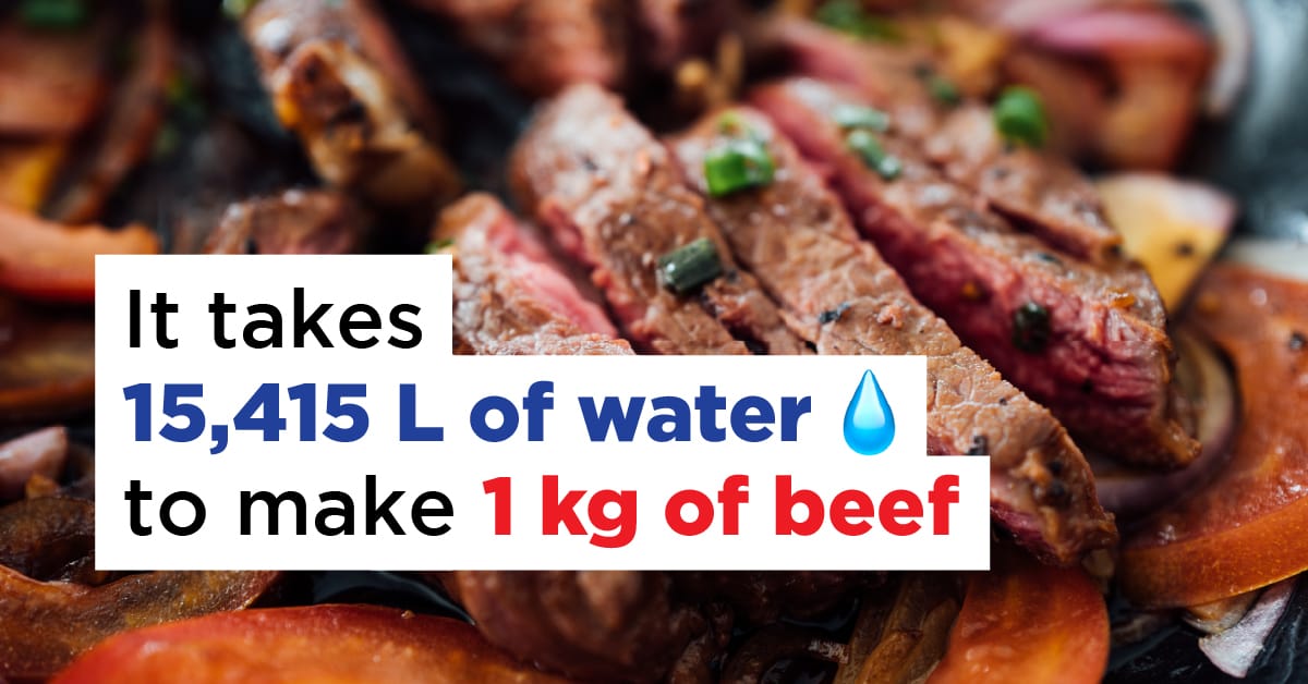 Meat, Dairy & Eggs Drain Fresh Water Resources Animal Justice