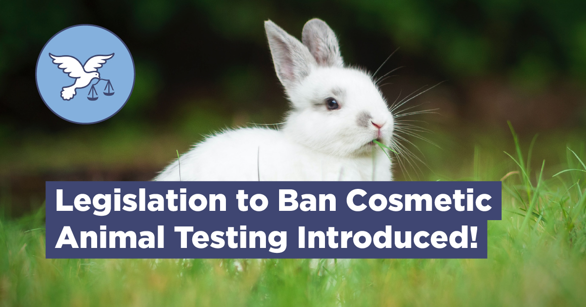 Legislation to Ban Cosmetic Animal Testing Introduced in Parliament ...