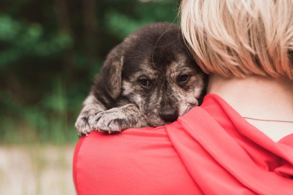 British Columbia Introduces First Canadian Pet Custody Legislation