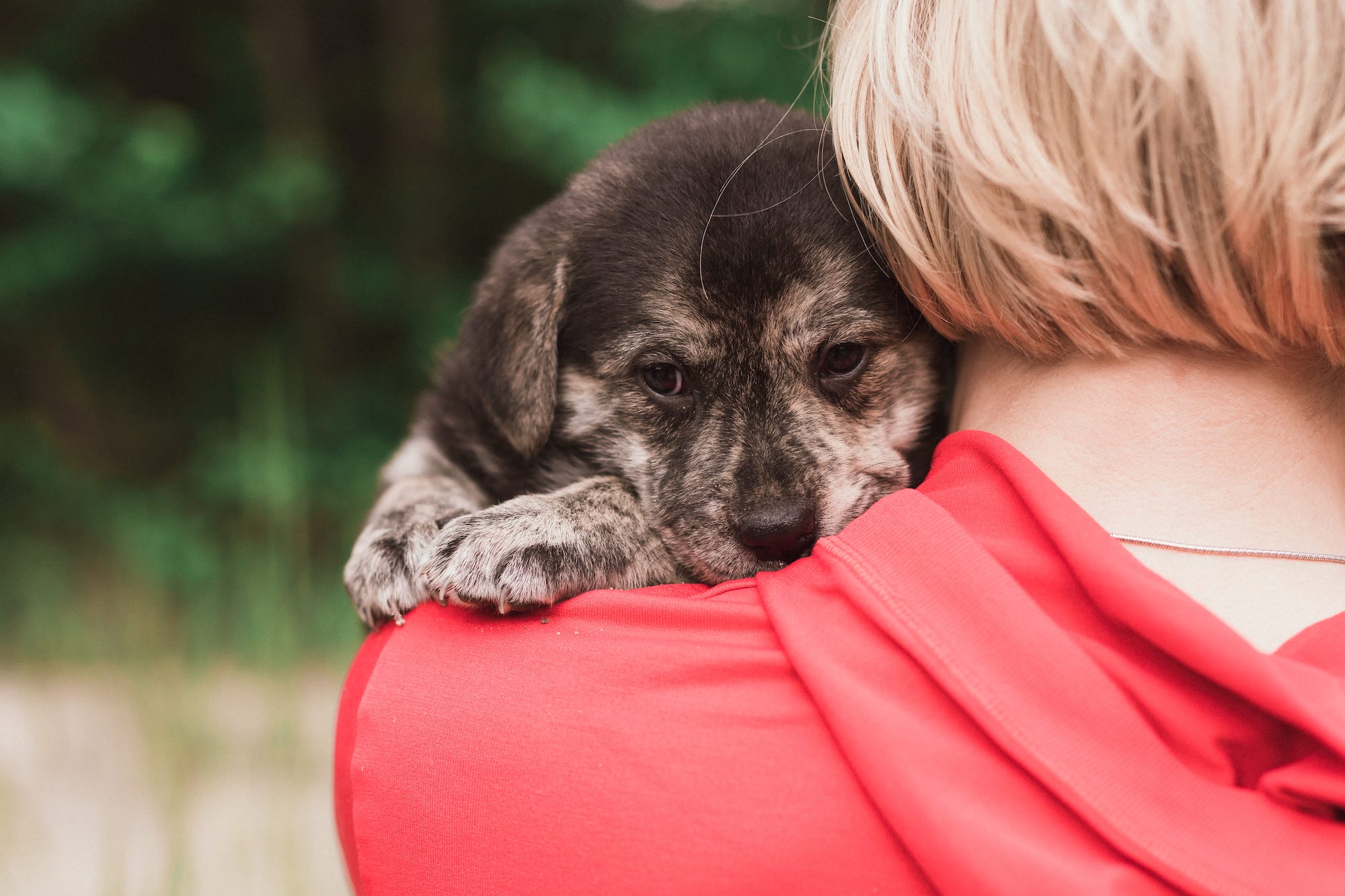Image shows woman hugging puppy.