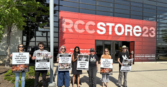 Gala Protest: Confronting Retail Council of Canada (RCC) & Loblaws Over Failed Cage-Free Commitment