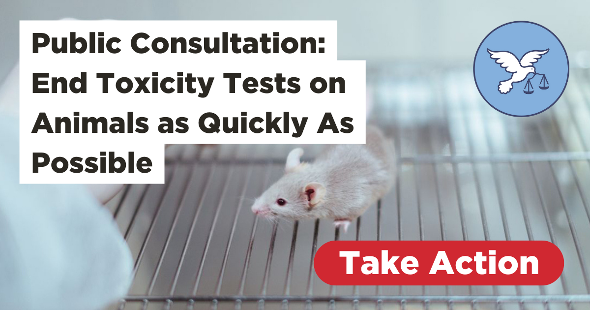 Public Consultation End Toxicity Tests on Animals as Quickly as