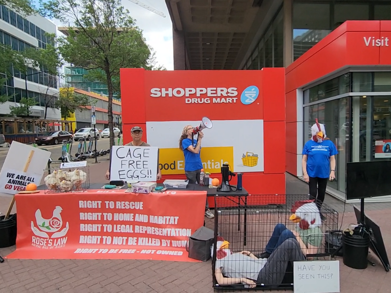 Edmonton Cage-free Protest Outside Shoppers Drug Mart