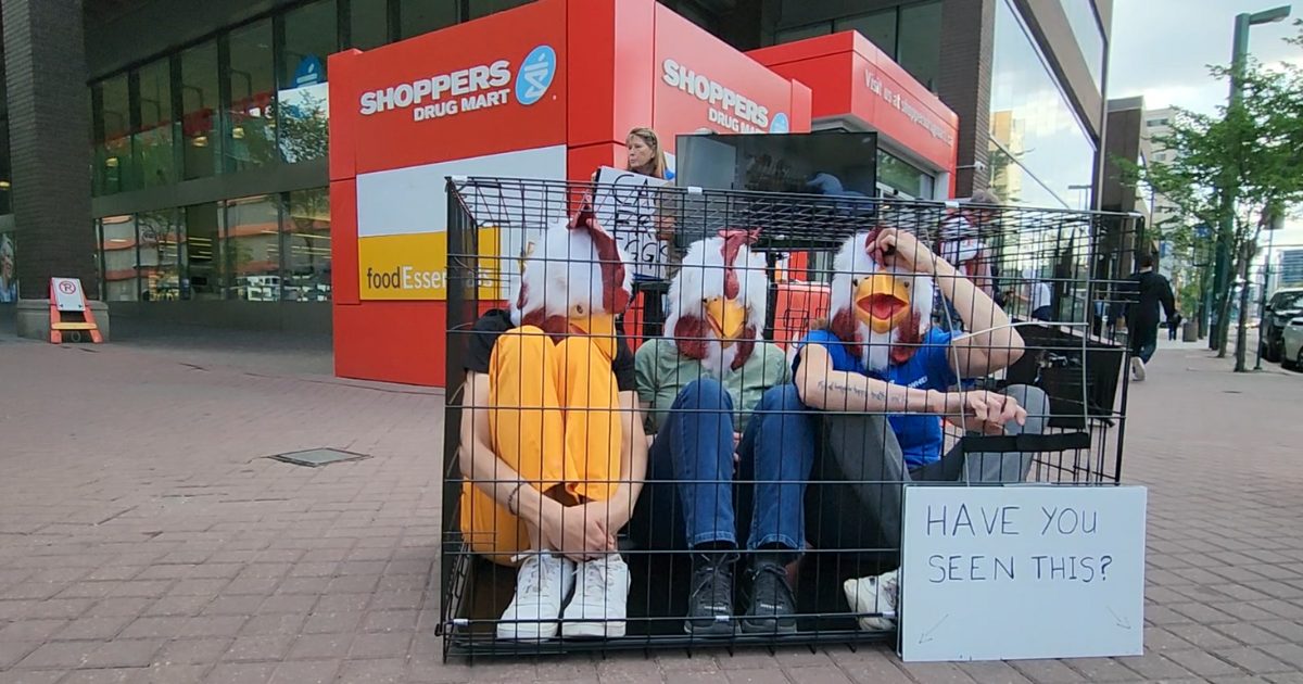 Edmonton Shoppers Drug Mart Cage-free Protest