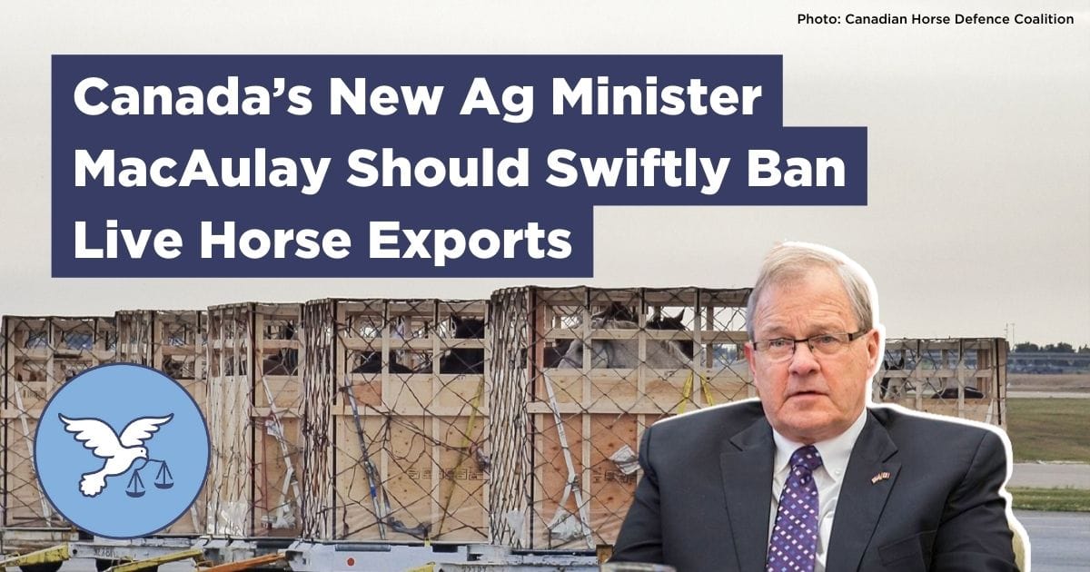 Stop the Delay Canada’s New Ag Minister MacAulay Should Swiftly Ban