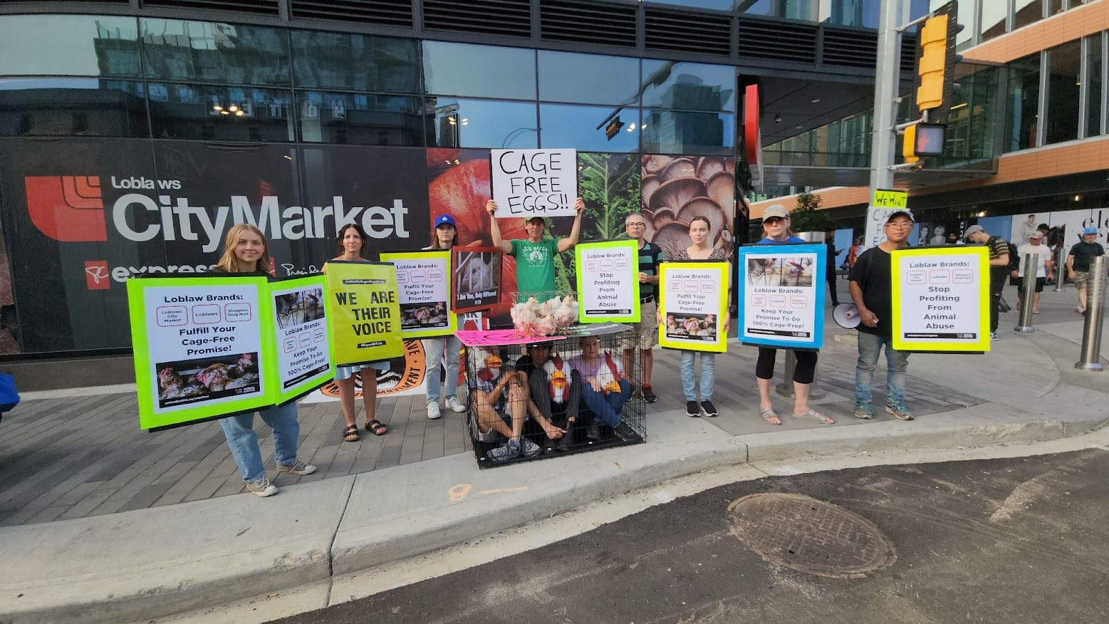 Image shows protesters in Edmonton outside Loblaws City Market. Protesting Loblaws failing to keep cage-free egg promise.