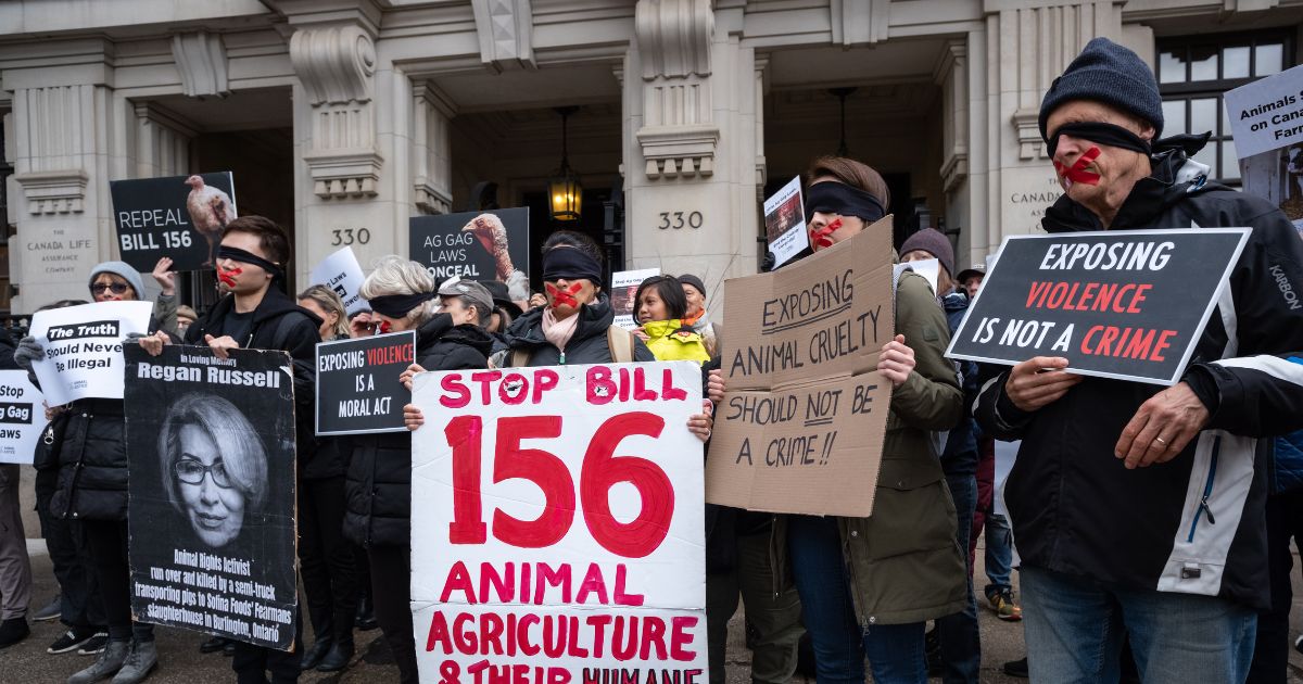 Image shows animal advocates rallying to stop ag gag laws.