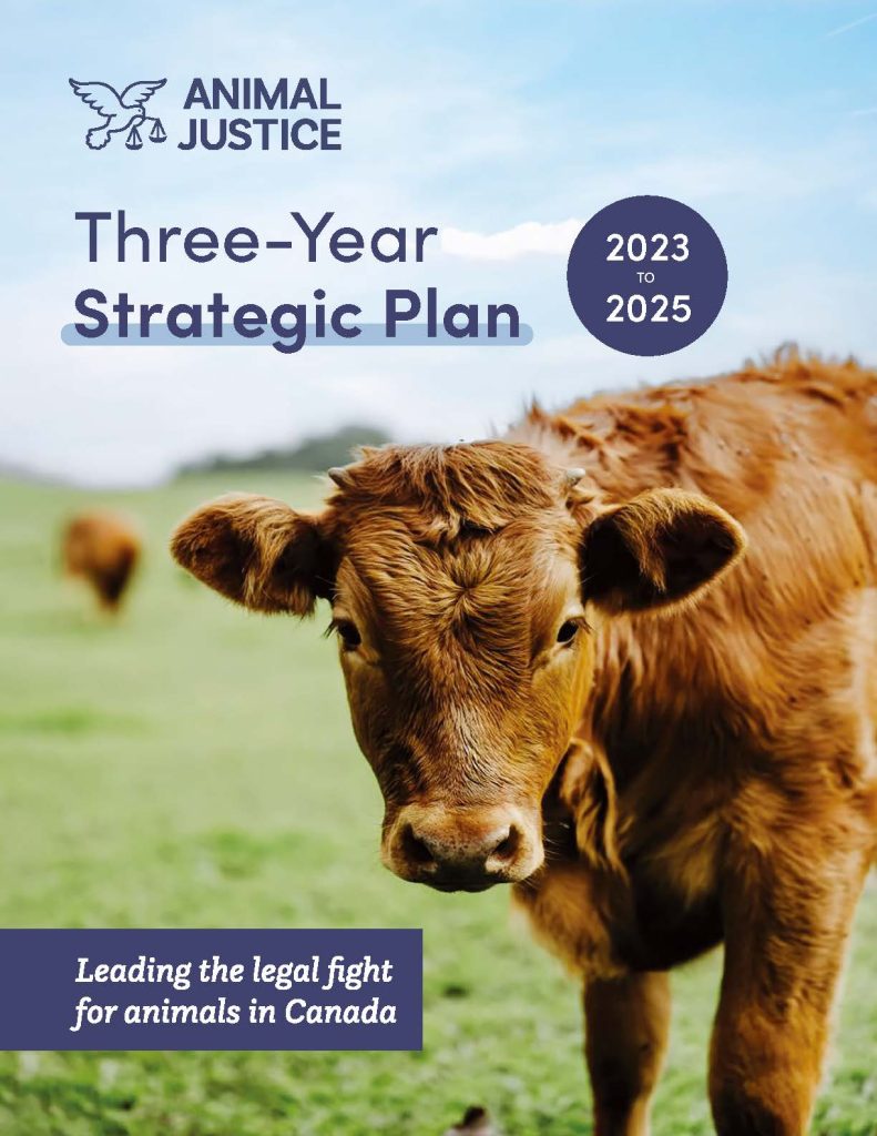 Animal Justice strategic plan.