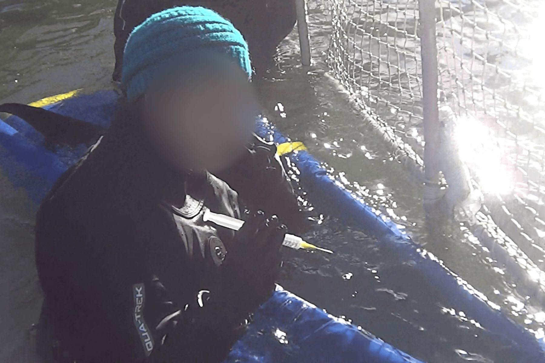 Northern Divine fish farm worker uses needle to microchip sturgeon.
