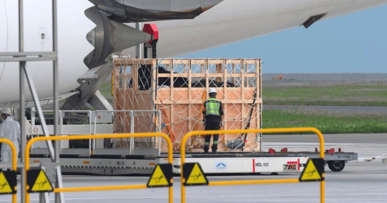 Canadian horses landing in Japan for slaughter.