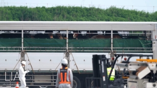 Canadian horses being transported to a Japanese quarantine facility.